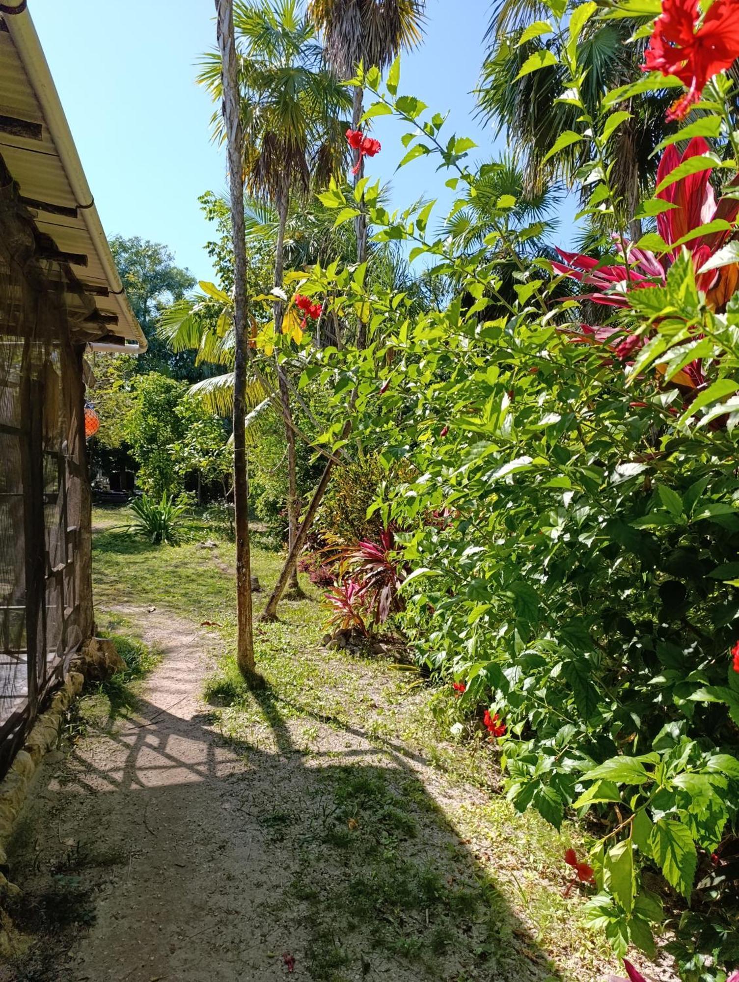 Chez Gigi - Eco Lodge Mahahual Exterior photo